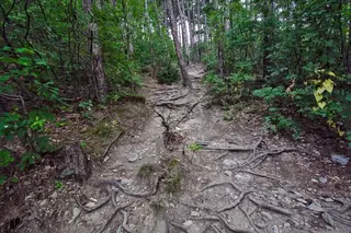 Маршрут "Хижа Васил Левски – Млечния чал - връх Ботев"