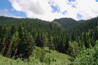 Резерват "Парангалица"