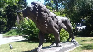 Статуя "Лъвът" - Пазарджик