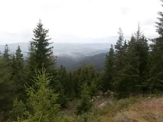 Връх Виденица - Родопи