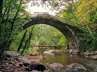 Резерват Кастракли - Борино