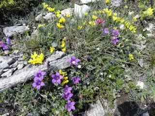 Резерват "Ореляк"