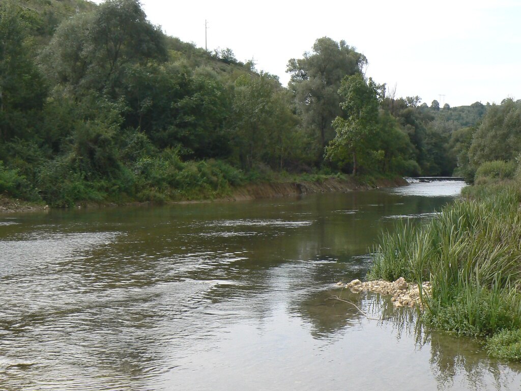 Румянцево