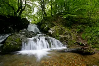 Местност "Водопада" - Вършец