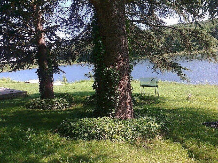 Язовир "Здравец"