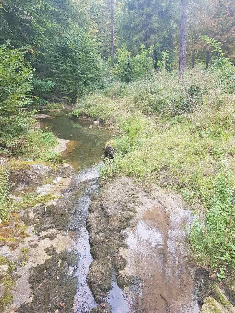 Боазка река - с. Боазът