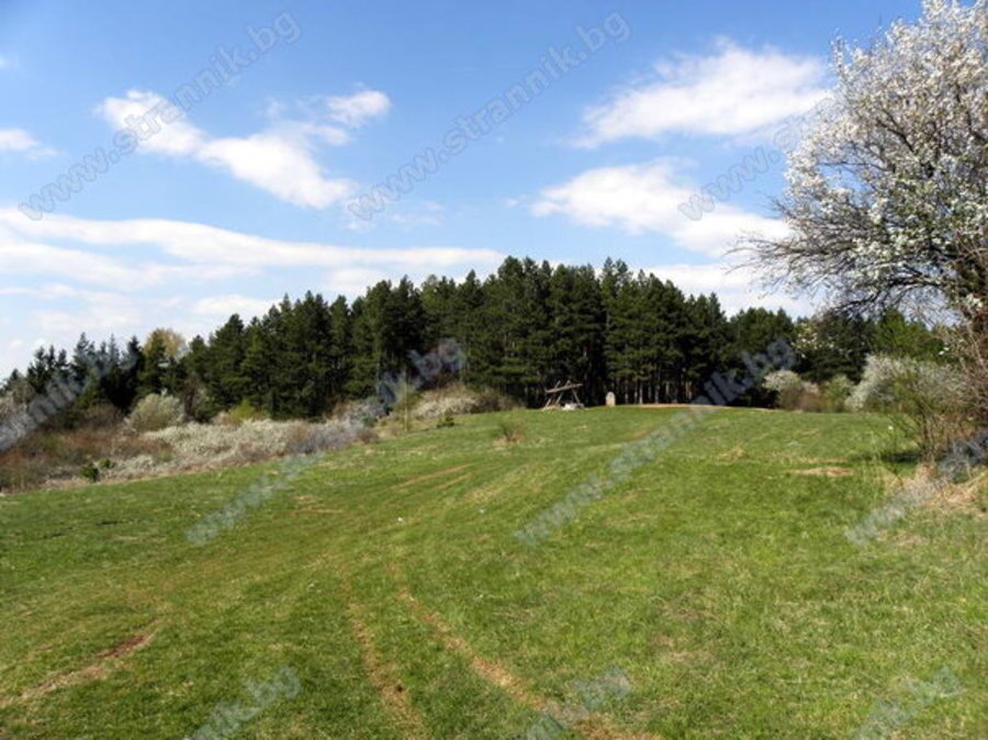 Паметник за битката при Брезник