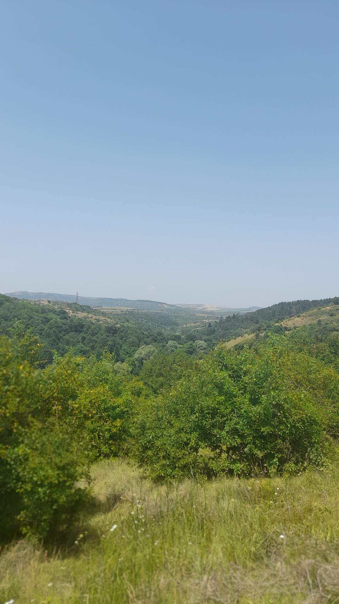 Мала Раковица