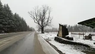 Паметник на Септемврийци - Берковица