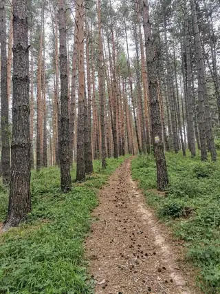 Екопътека Бележката