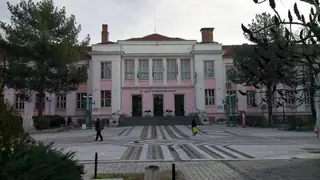 Видинската гимназия - Видин