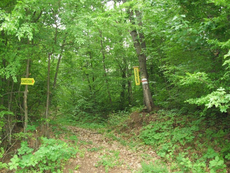 Местност "Божурица" - Видин