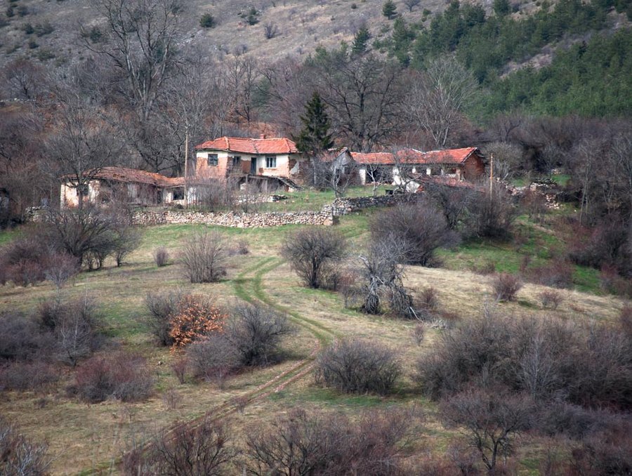 Връх Градо - Брезе