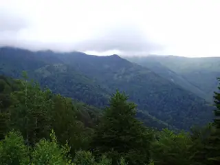 Резерват "Горната кория"