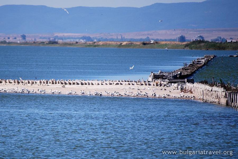 Поморийско езеро