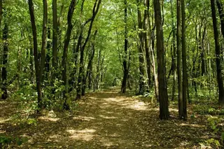 Ловен парк - София