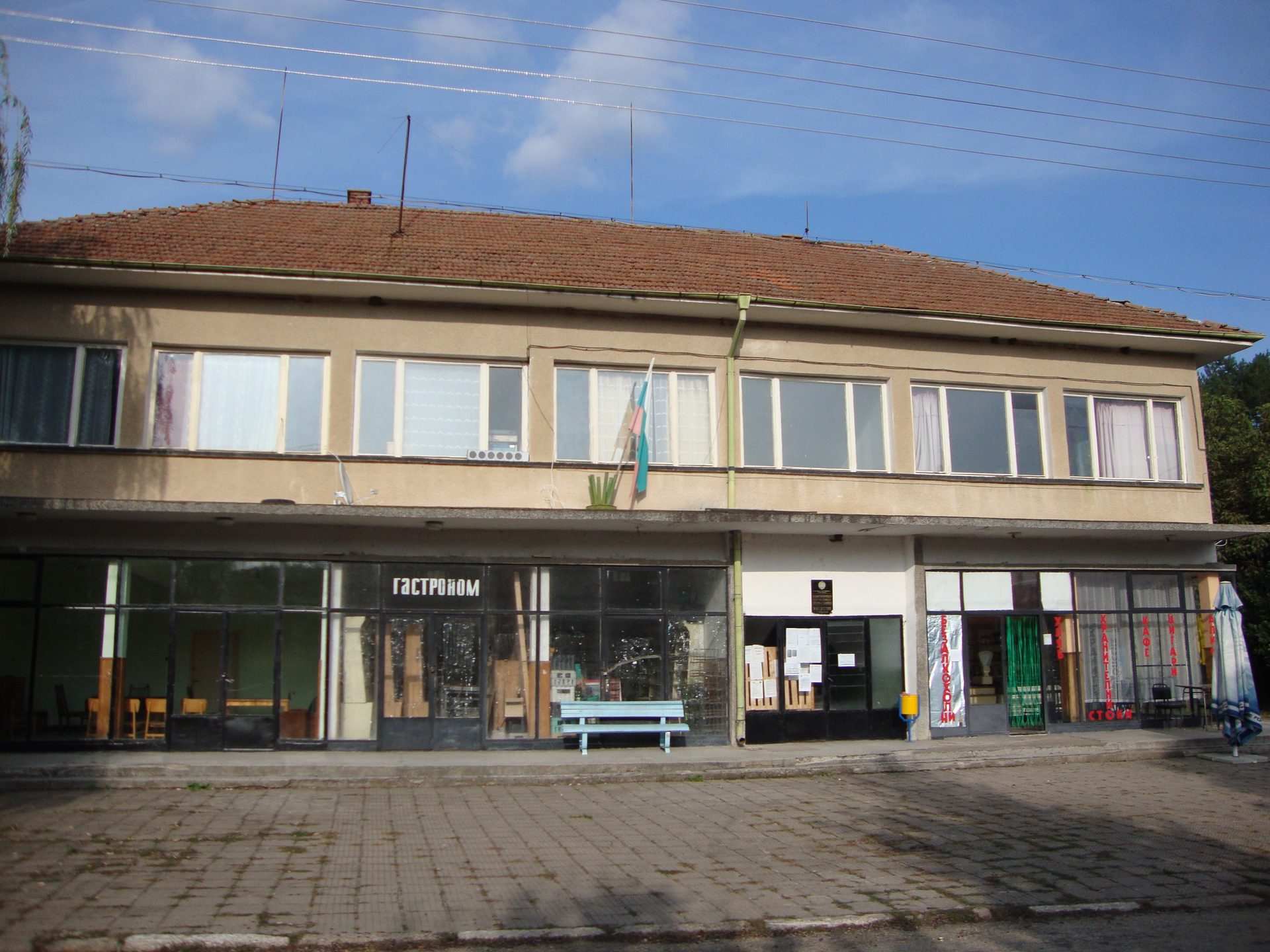 Видлица