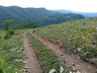 Връх "Али Баба"