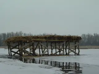 Персински блата