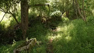 Рачовият кладенец - Боженци