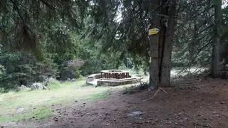 Орфееви скали - Пампорово