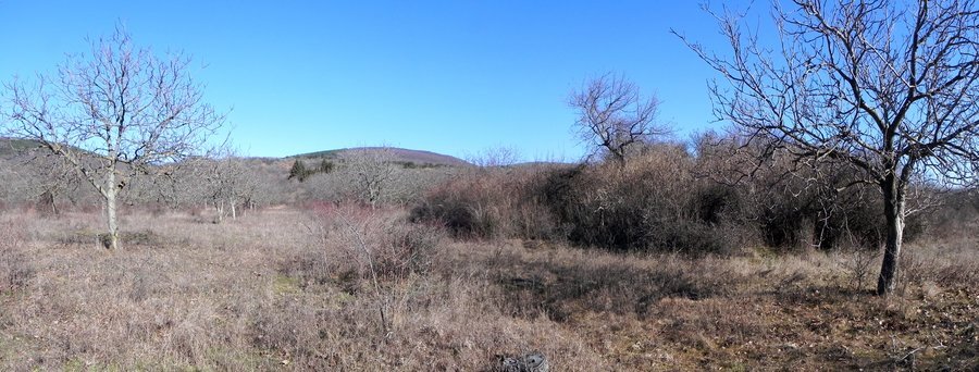 Светилище "Джамбаз виран" - Оряховица