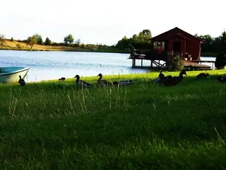 Язовир Арбовия