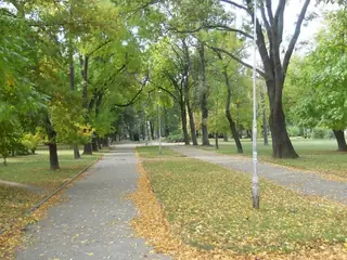 Парк "Владикина Бахча" - Видин