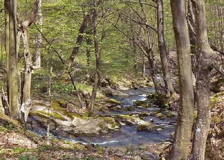 Екопътека Трявна - АИР "Боженци"