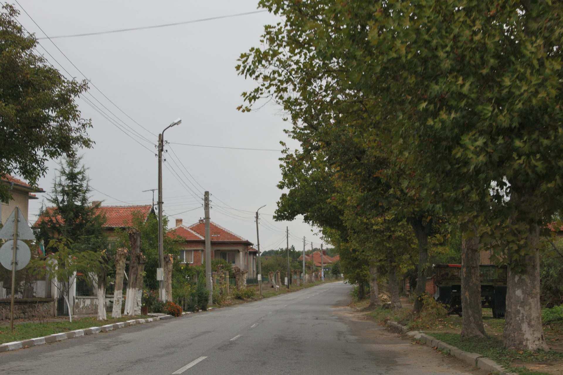 Българин