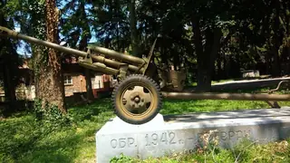 Оръдие - с.Змейово