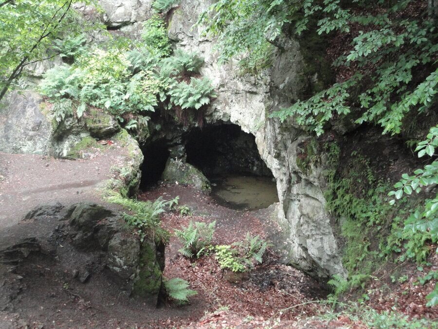 Мистичната гробница на Бастет