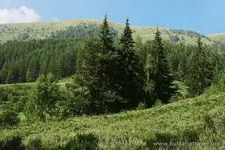 "Хайдушка екопътека" - Годлево