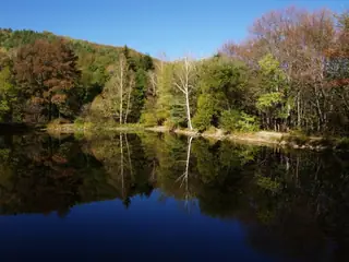 Боянско езеро