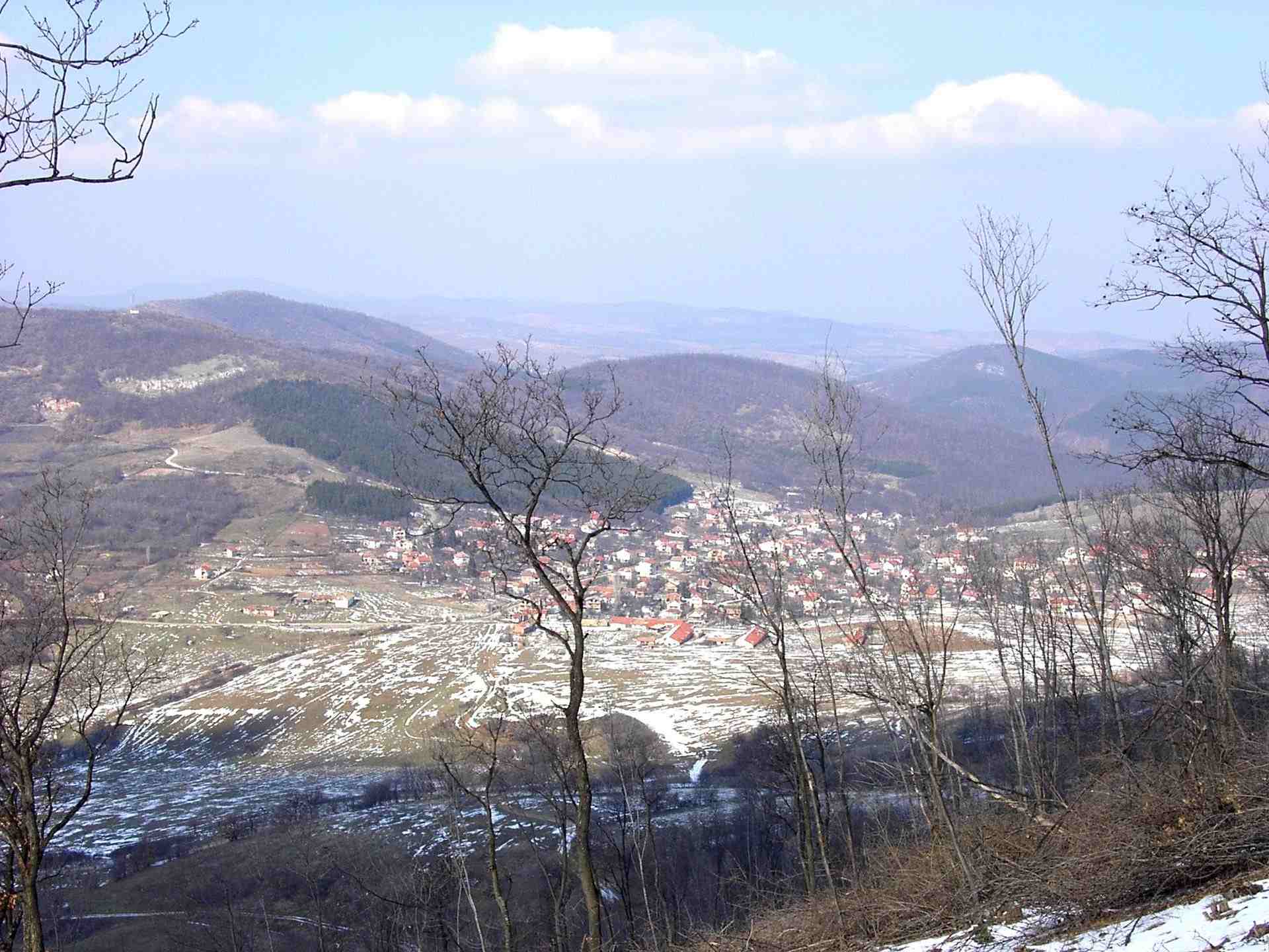 Сулица