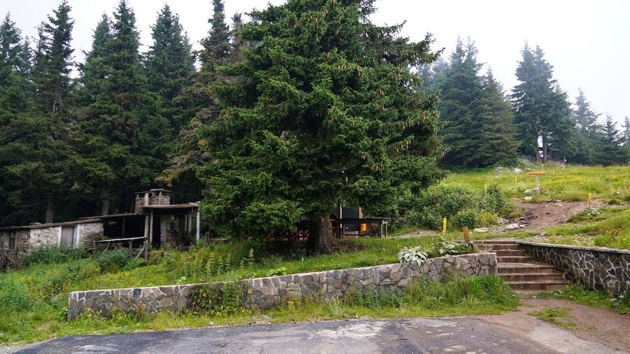 Връх Свобода - Давидково