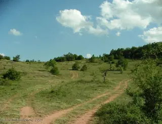Скалите над село Дъбравка