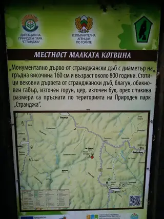 Местност "Малката Котвина" - Природен парк "Странджа"