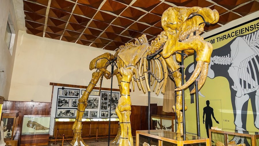 Палеонтологичен музей – Асеновград