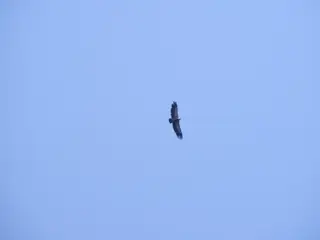 Резерват "Вълчи дол"