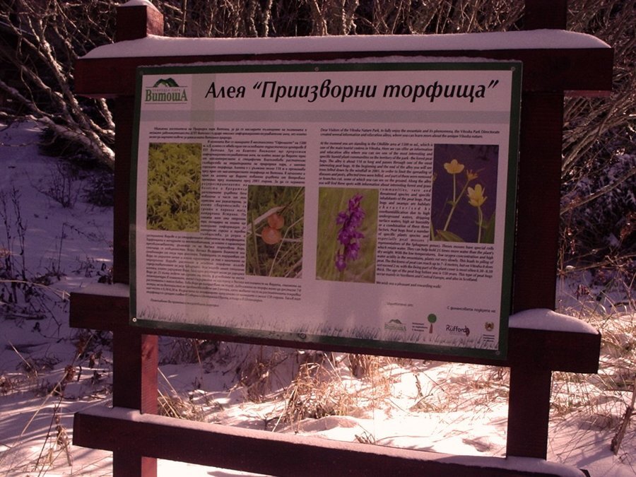 Торфищна информационна алея - Витоша