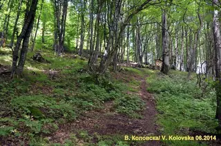 Познавателен маршрут "Пещера Леденика – с.Горно Озирово"