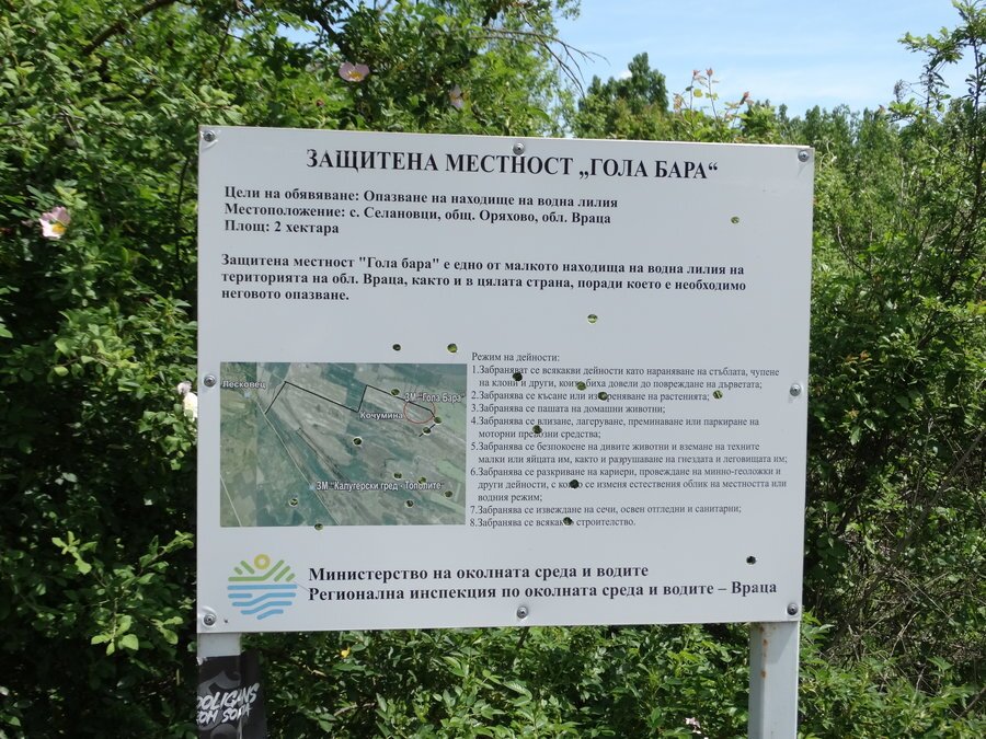 Защитена местност "Гола бара" - с.Селановци
