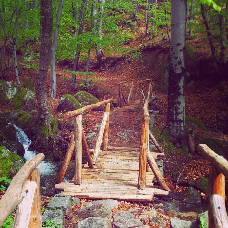 "Пътеката на здравето" - Кладница