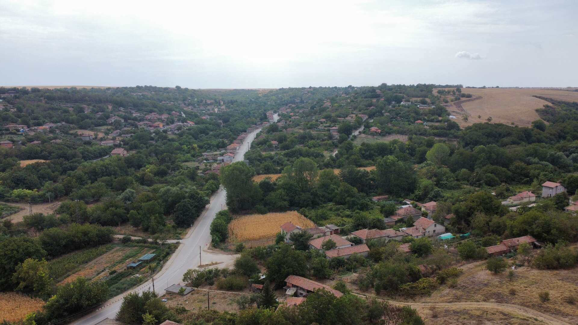 Българско Сливово