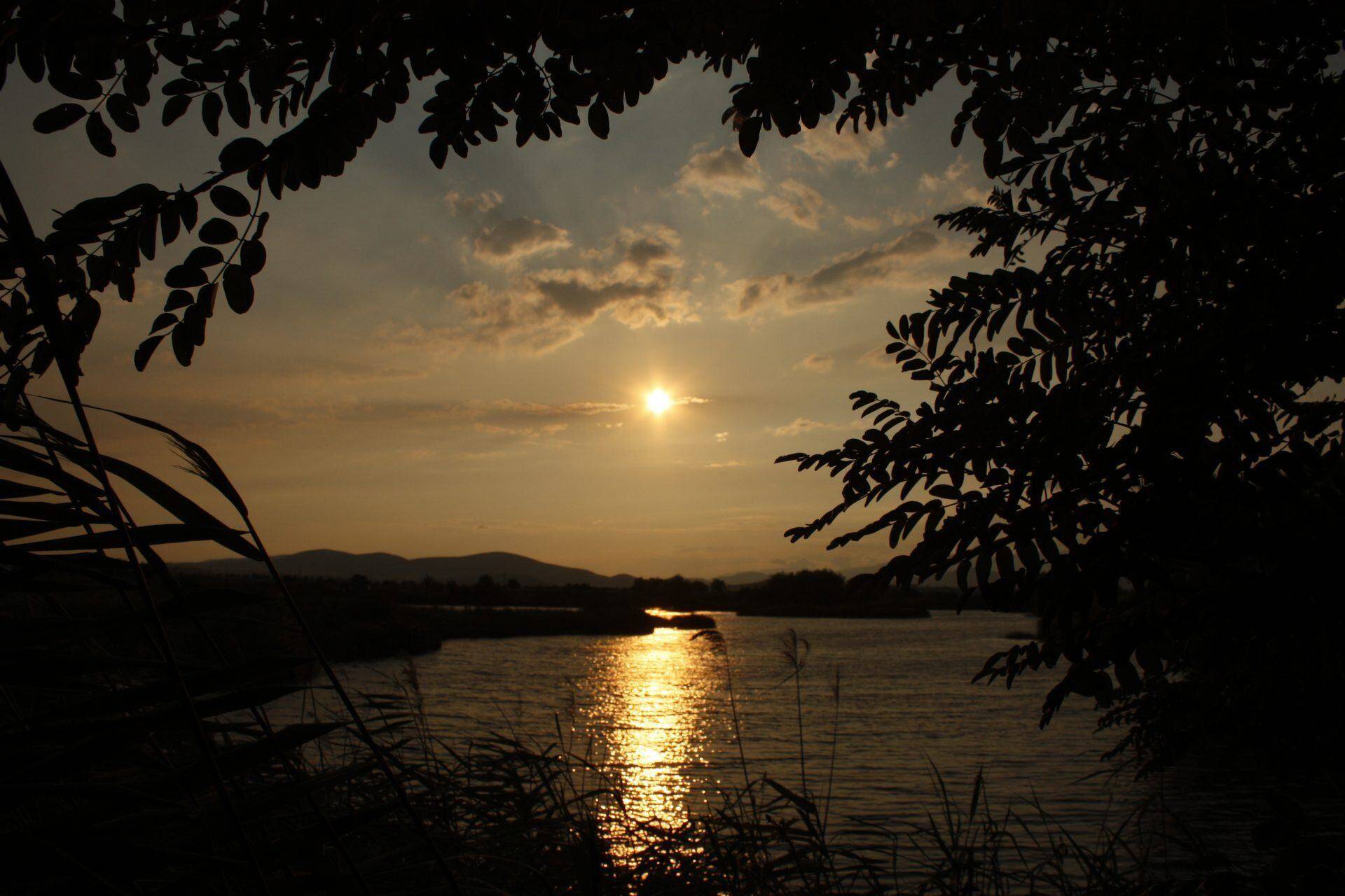 Млекарево