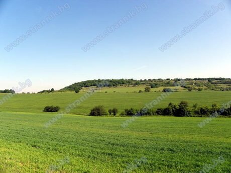 Връх Арлапи