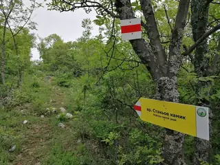 Връх Стакьов камик