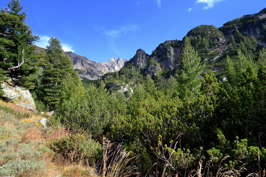 "Самодивската пътека" - Бачево