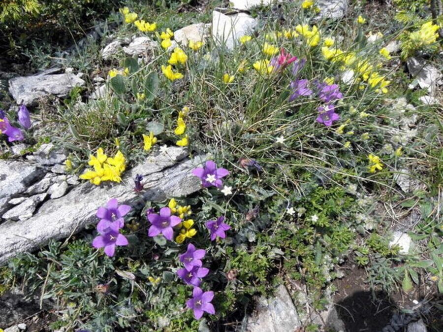 Резерват "Ореляк"